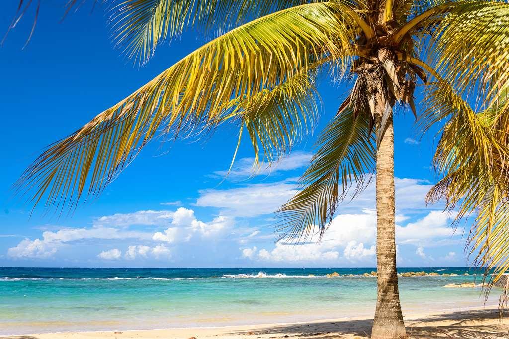 Melia Braco Village Trelawny Природа снимка